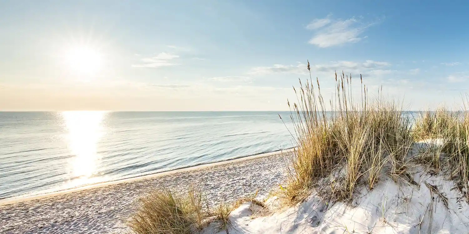  Sanddüne mit Strandhafer vor ruhigem Meer bei tiefstehender Sonne